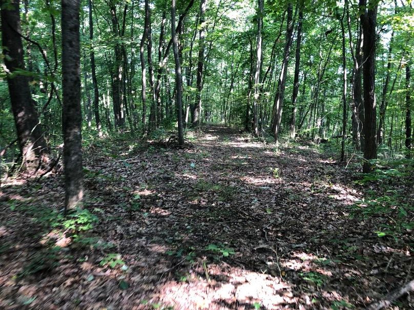 06cb192f-102b-455b-9aec-7924ec2450aa 1 105 c