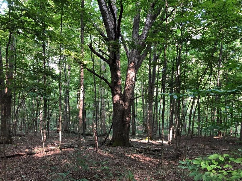 074bd9db-0e75-4389-b803-521935929c27 1 105 c