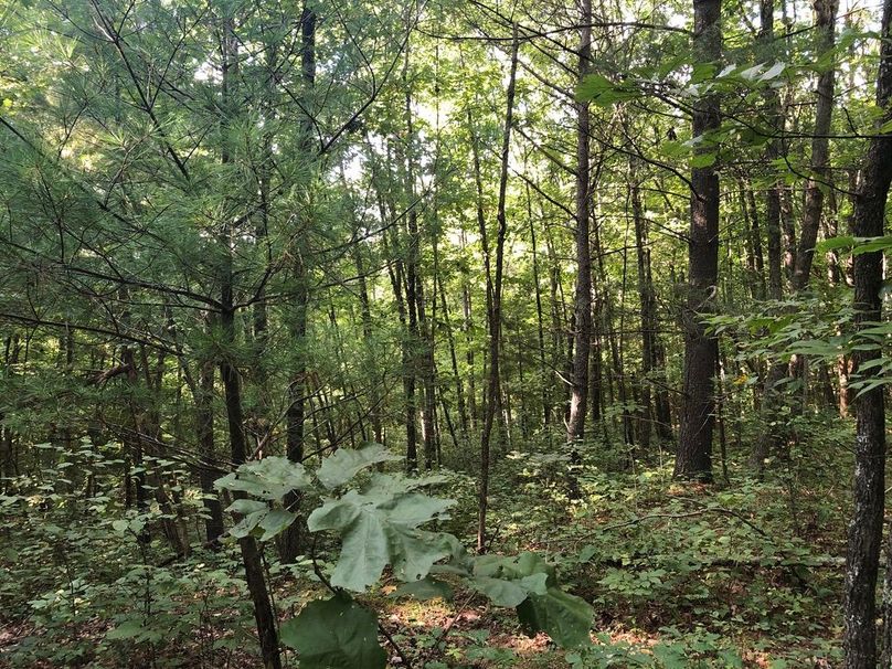 08c896ca-18ad-416e-9322-0f664232e303 1 105 c