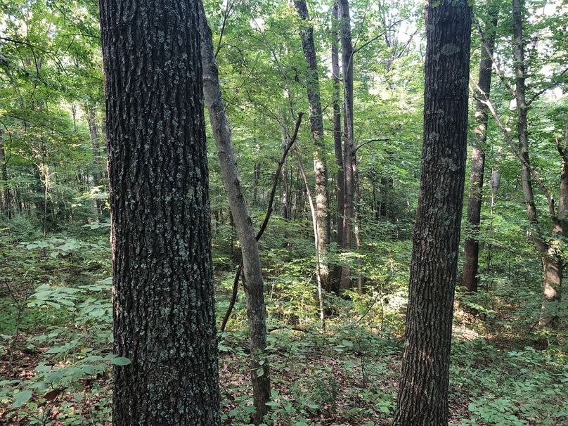 0903c645-b268-4204-a29b-0cb79192d1bf 1 105 c