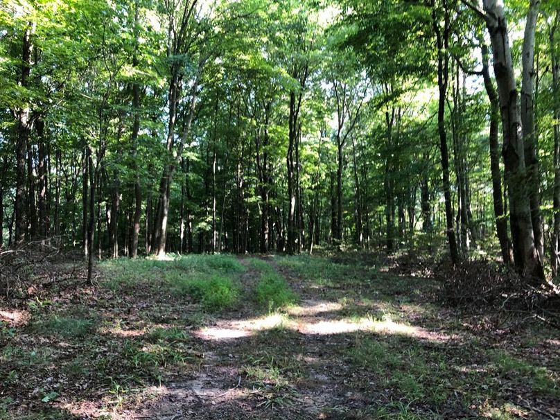 16596e36-dda9-4b08-8846-09a552122181 1 105 c