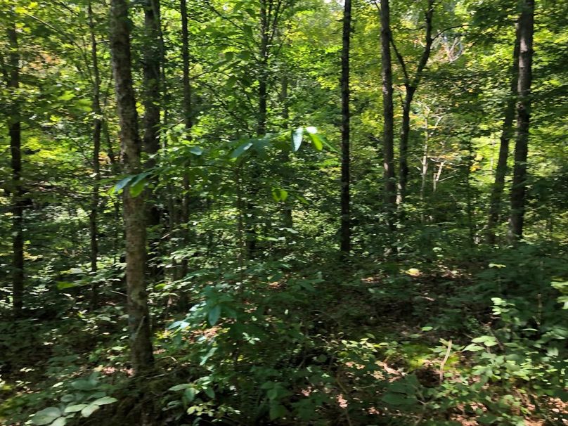 16a08109-1c26-4db9-b140-c98b7462acdc 1 105 c