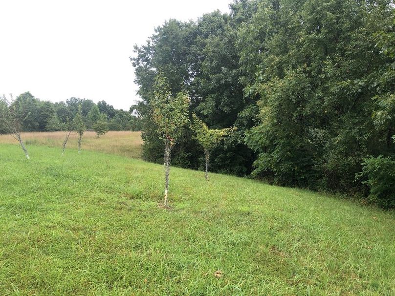 119eeabd-4341-4d5a-94ec-07f4e0cc5a19 1 105 c