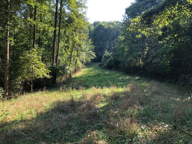 245d5215-c243-4d5a-9da5-11c9ac0ade13 1 105 c