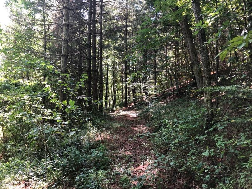 24af68c7-674e-4d12-ae96-e53e325574e8 1 105 c