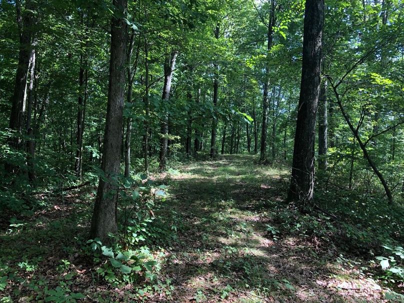 266f610e-577f-454e-b8db-cf41b715be9a 1 105 c