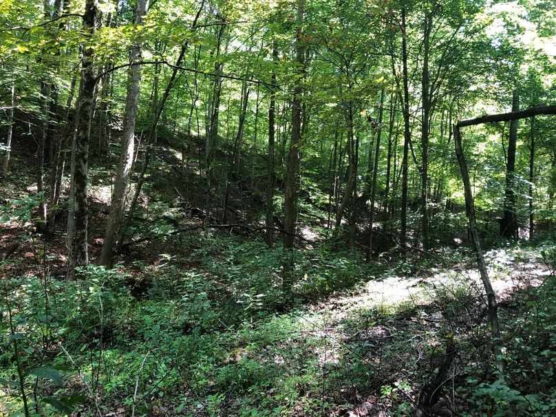 20b74929-040b-44ff-bb46-d50823a1bb92 1 105 c