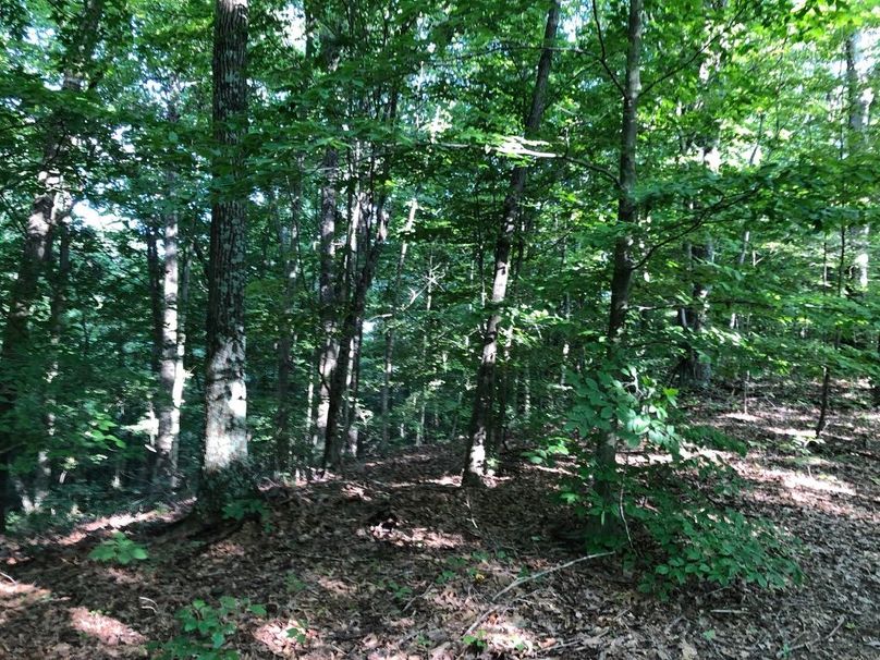 23b0b09e-e447-41b3-8ea4-08c18e1970a9 1 105 c