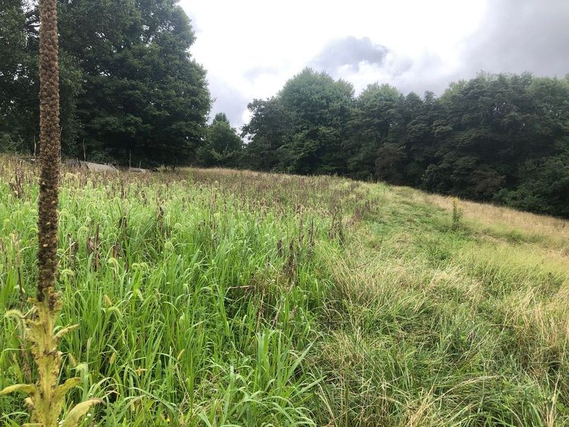 2fd1ead8-d5ee-49da-bdda-4bd62ff7da33 1 105 c