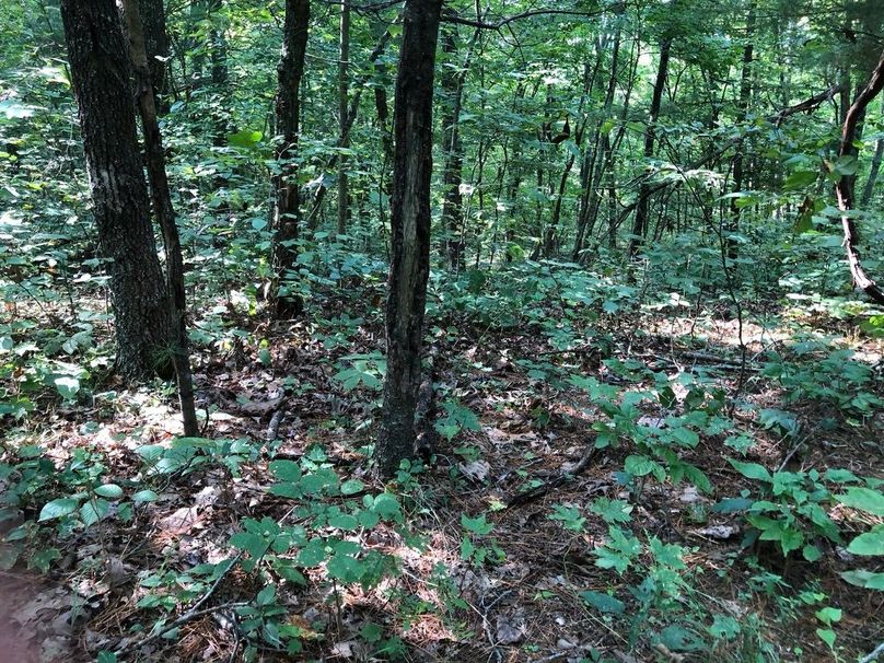 348ebc29-2c50-481c-ba02-df5f5bb2abcb 1 105 c