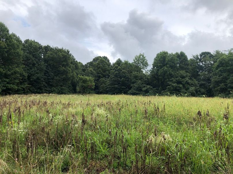 359b2c42-cc38-4897-9848-c7b237c32281 1 105 c