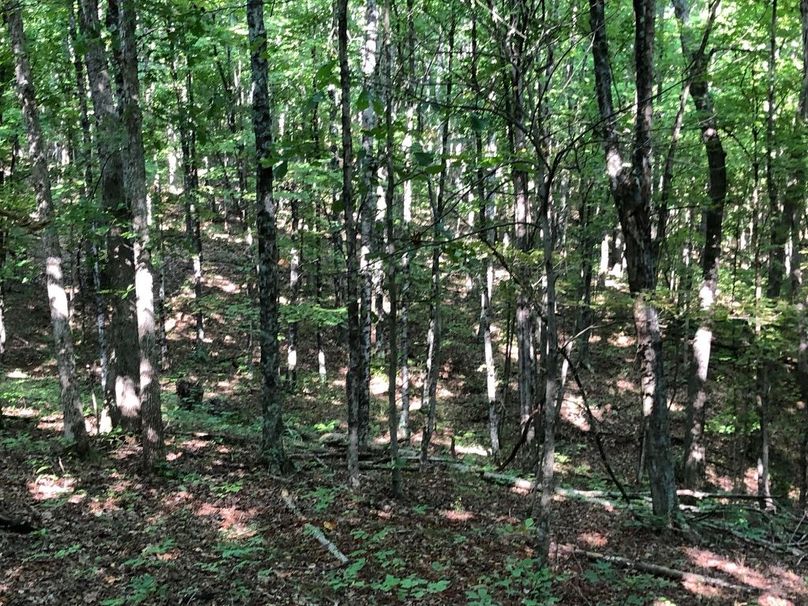 3007cc21-6a11-4035-bed0-d2fe36d1c09d 1 105 c