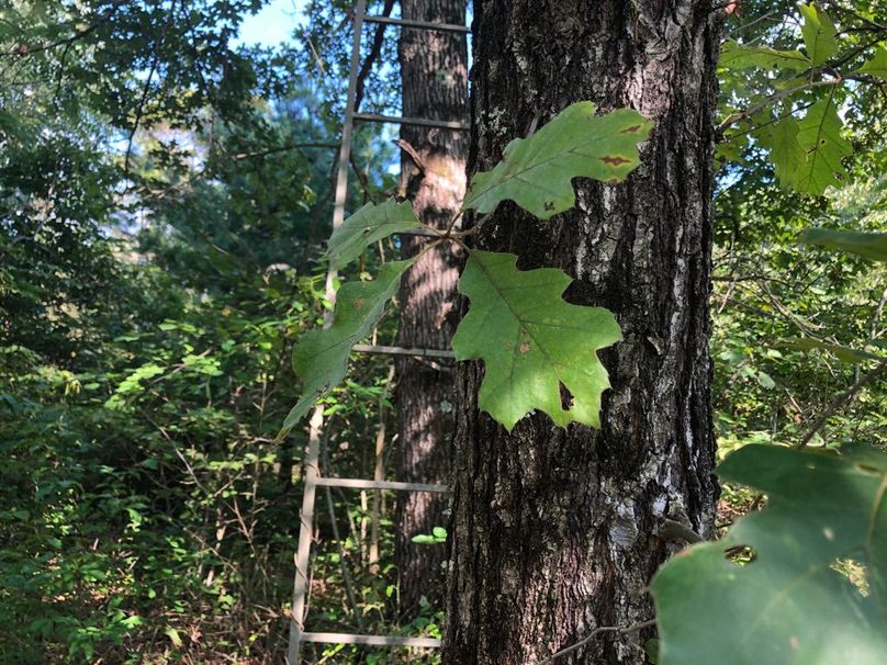 3c4f9336-cc5b-47e2-976c-5499f62fe596 1 105 c