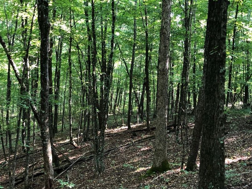 3c51f0dc-9136-486f-a6c5-983eb010aa81 1 105 c