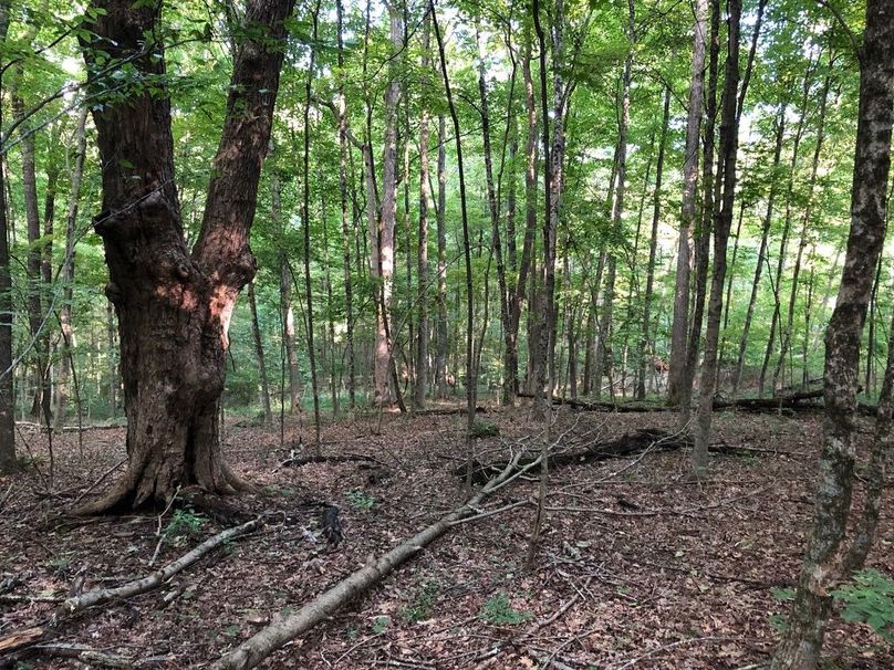 3dbc1c6e-4bbc-403a-b69e-d6d4b378c8d3 1 105 c