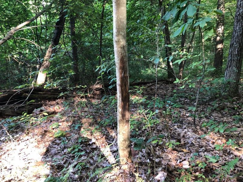 458b2287-9398-4993-8880-9f8f405bf4d6 1 105 c