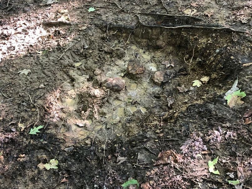 45aa7ffe-67cc-499b-8690-3c8c8b117deb 1 105 c