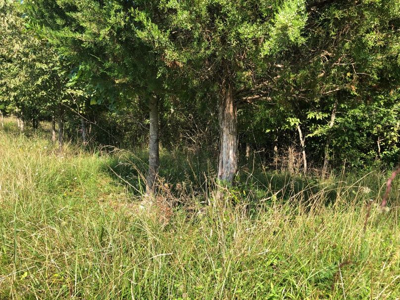 40554773-f511-4c2b-8d82-f913ce6e5fde 1 105 c