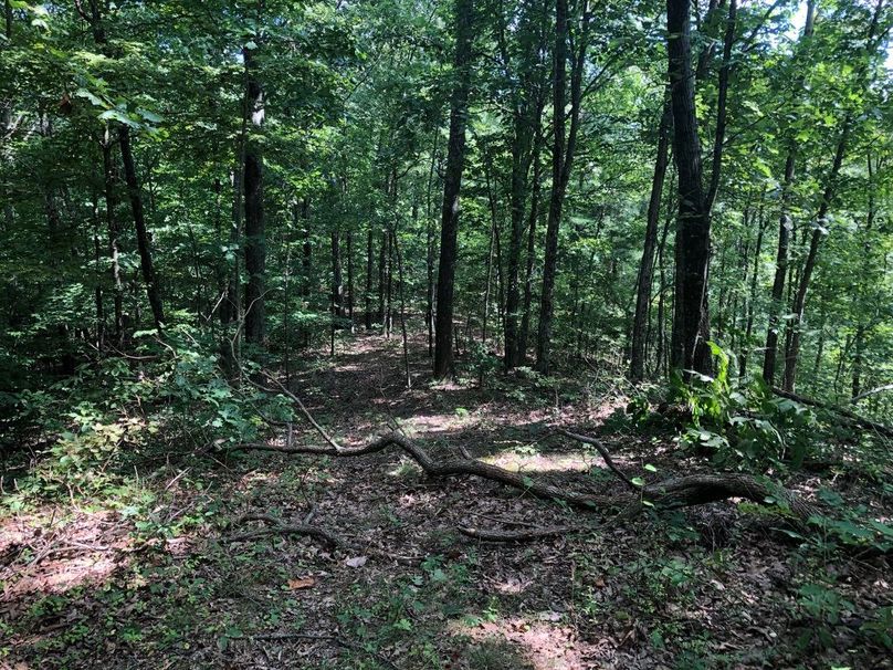 4a2344ba-18f0-473e-9f7c-33bba536a6e3 1 105 c