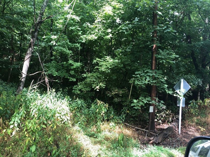 577d45ea-bf67-4ed5-8e1a-883335313ab7 1 105 c