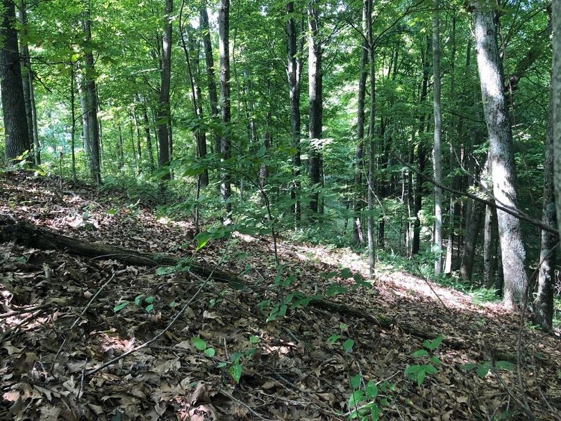 58f09e13-560b-4246-a660-86d41605d218 1 105 c