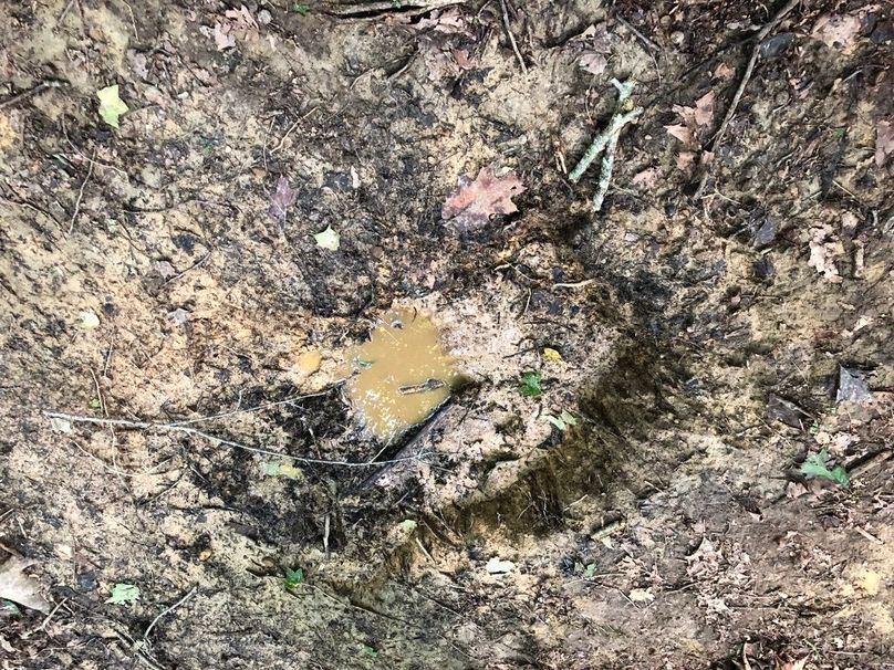 511211f8-3821-4ea5-ac0c-3a4f1c4c46b1 1 105 c