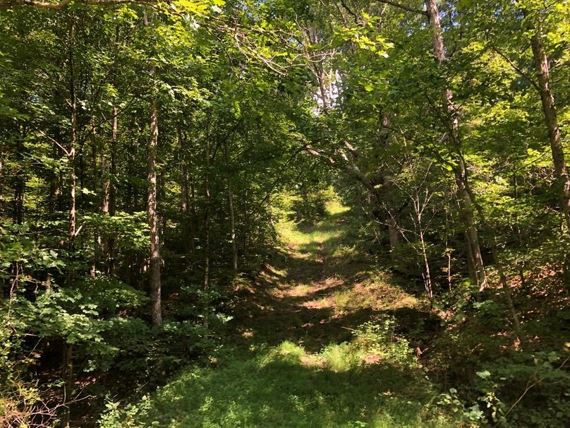 53876ebf-8b9e-44c2-ad9b-573914a67367 1 105 c