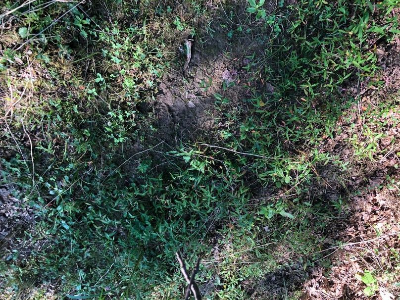 5aa86154-2c6a-443f-94a8-757c910b462e 1 105 c