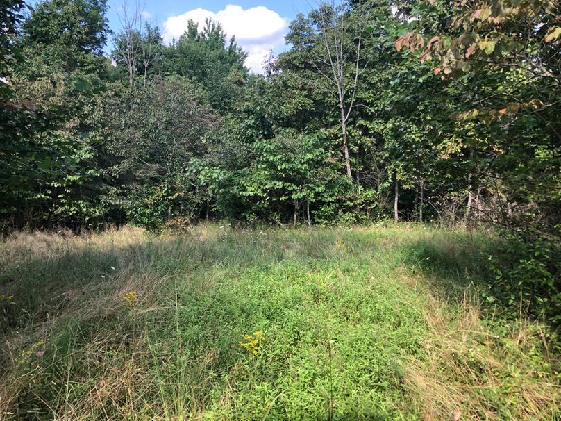 5ab860ec-b982-4c37-b4a6-68cc275529d8 1 105 c