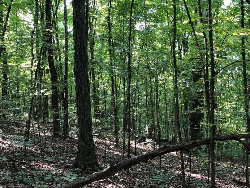 65bc9683-9713-4d07-bd98-d906f57bc9be 1 105 c