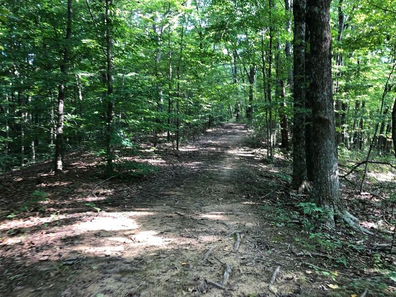 662d8469-ee0e-4f4d-9a67-ad3be9b6b6a6 1 105 c