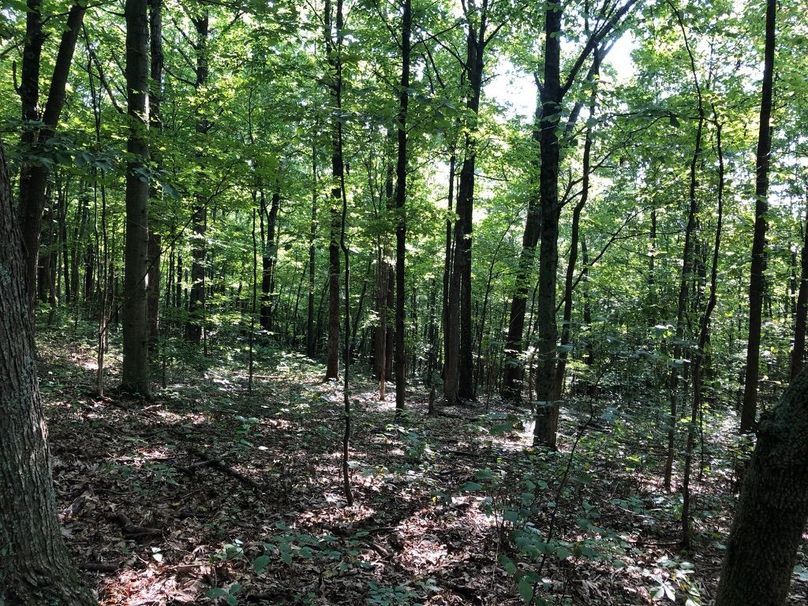 63f63f01-6c2b-4ffa-a65f-c7f6ea9598c2 1 105 c