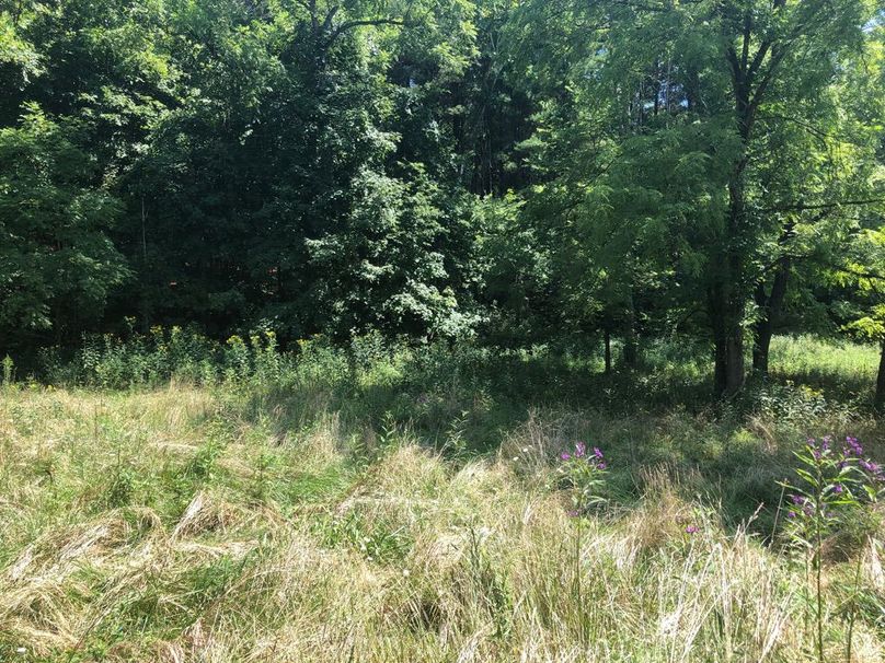 6b6a2b9f-dcae-4476-b37d-cb111e6afa38 1 105 c