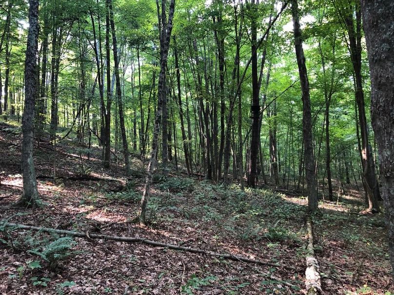 6e952f73-75e5-46b6-90ac-d0f0480eafde 1 105 c