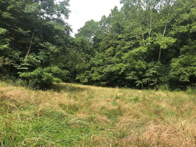 742900aa-35bb-424e-a127-5cb2f76300f8 1 105 c