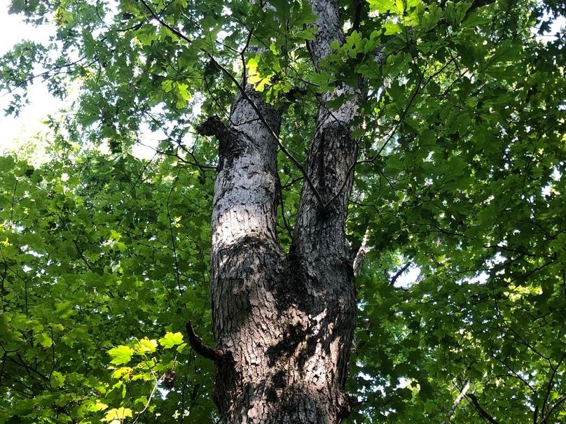 745dc1ac-199e-416c-a369-b2f9e6673fd3 1 105 c