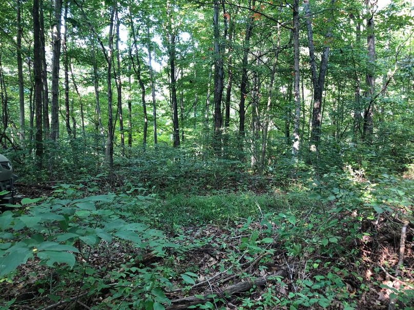 7608b777-c478-49ae-a4bb-8f68710d7529 1 105 c