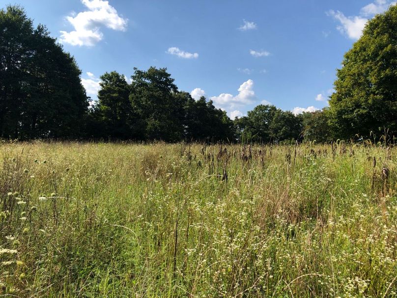 769bb014-1be9-455d-bb8a-fd25a21fb122 1 105 c