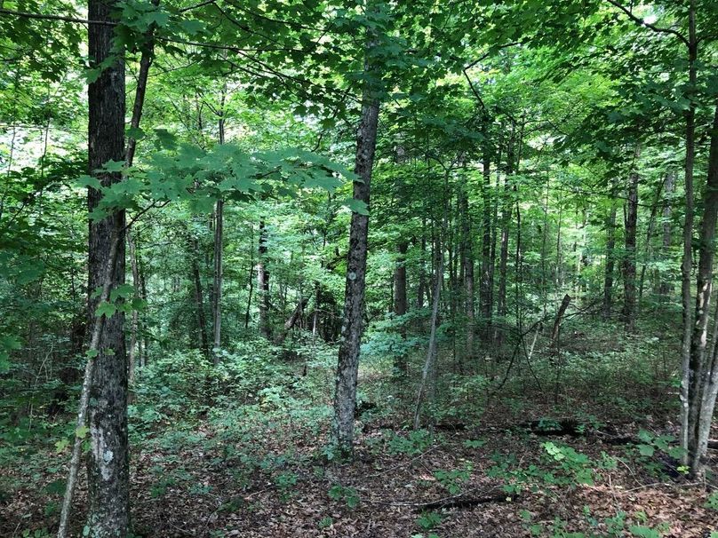 7960282a-1435-4f7d-958c-a1f2d5cbc5d9 1 105 c