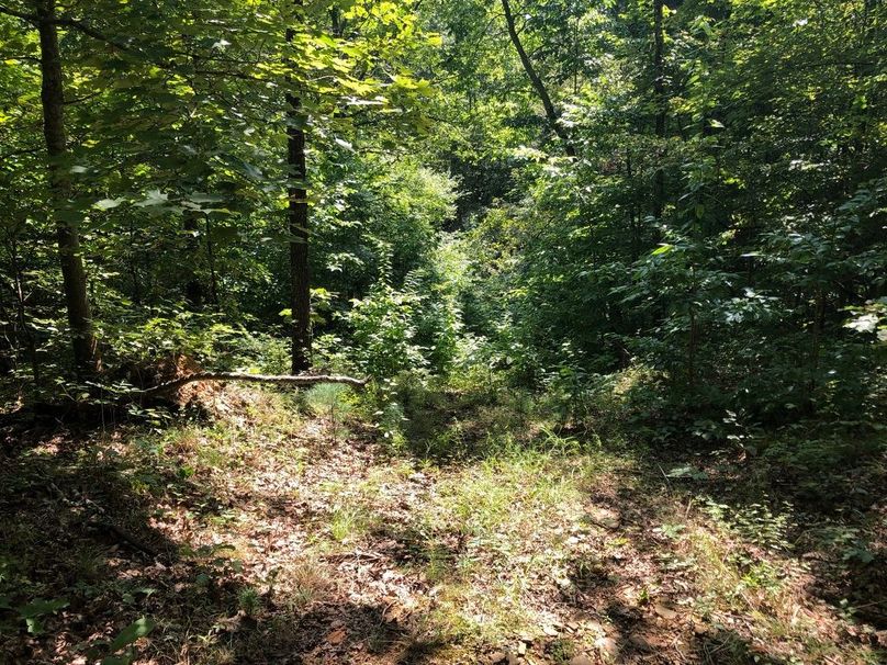 7d0ecaea-046b-4f33-b26c-fc41f9c48338 1 105 c