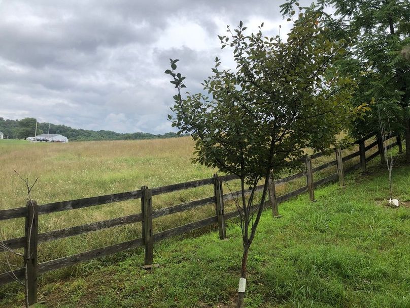 7d615f39-ed98-4f3f-8a11-42392122fa51 1 105 c