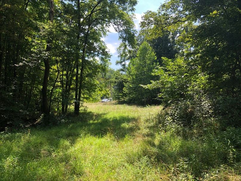 80a2c05b-bc6b-4b1c-b272-9397a68568da 1 105 c