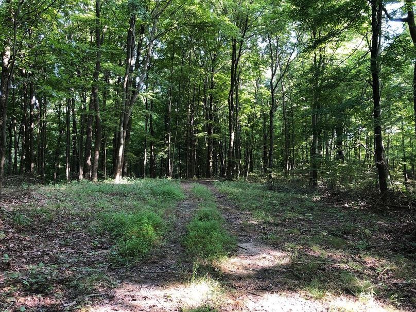 83cfddd1-14b2-4db0-9a49-2f8d4985176f 1 105 c