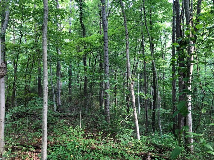 83be8a66-2f73-473e-a002-73d2d38890f7 1 105 c