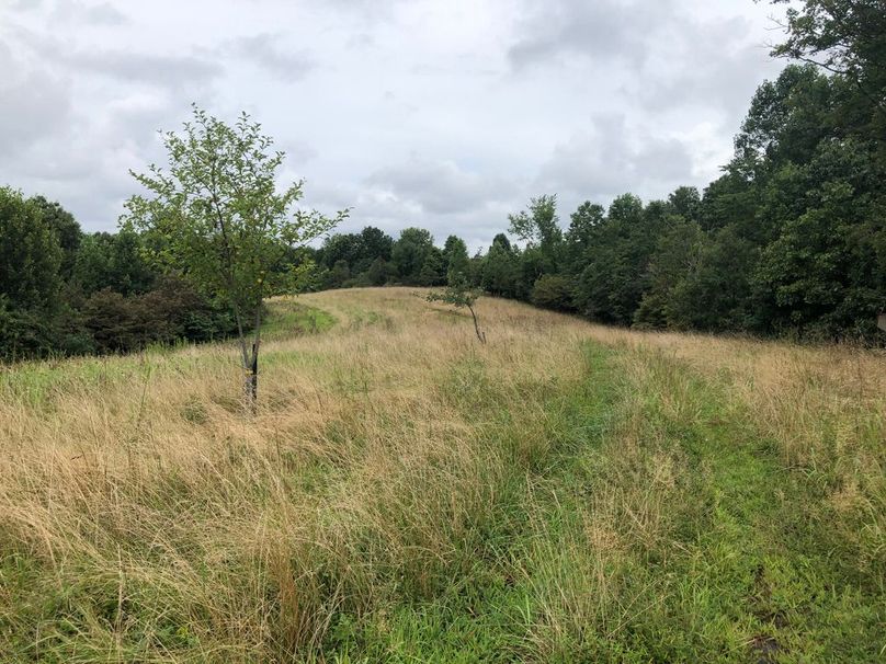 8b73fb0b-5068-43c1-8556-6f3def76c894 1 105 c