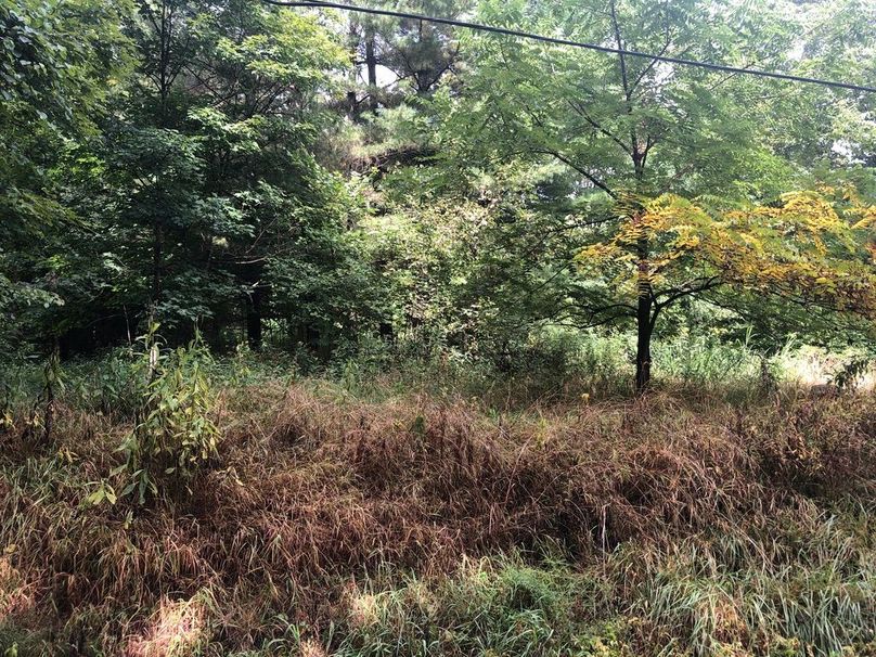 8f4f2b7a-3675-4e63-948a-0511dd75b9fb 1 105 c