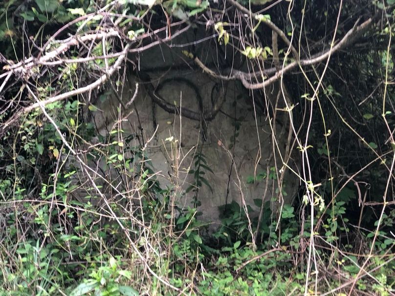 94428e9c-2abe-4146-bd9a-e2ea7d83ccdc 1 105 c