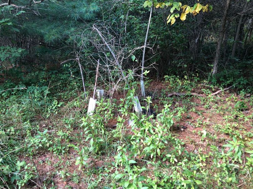 949945ac-0b0e-4c1a-94cb-0e87123322a7 1 105 c