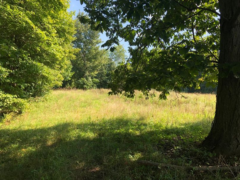 95b38f0c-6801-45f0-a534-d9c14481fbc5 1 105 c