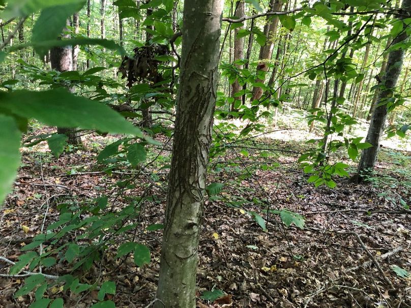 9a28f52c-32c5-4b36-adde-0d48ee6fbf01 1 105 c